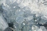 Celestine (Celestite) Geode ( Lbs) - Large Crystals! #106691-4